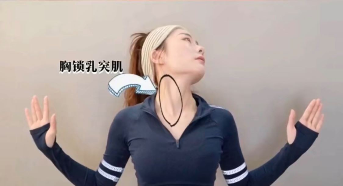 首先,伸直腰,把手放橫兩邊,把頭45度角向上抬高,然後上下伸展,感覺到頸部肌肉有拉扯就是做對了。把頭換邊左右各做30下即可。記得要保持身體和手在側看是同一水平~