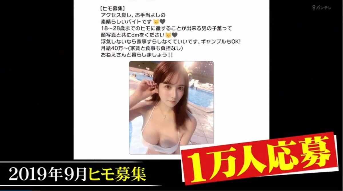 包養男友, 日本綜藝節目, 軟飯男友, Miu包養, アウトxデラックス, 軟飯情人