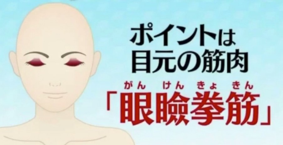 【眼部護理】原來令我們睜開眼睛的那塊肌肉成為「眼瞼肌」,負責管理我們的眼皮閉合,位於我們眼睛的上眼皮。