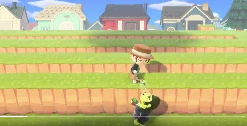 動物森友會,動森玩家,猩猩阿保