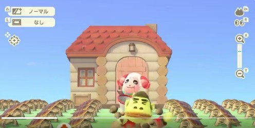 動物森友會,動森玩家,猩猩阿保