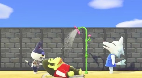 動物森友會,動森玩家,猩猩阿保