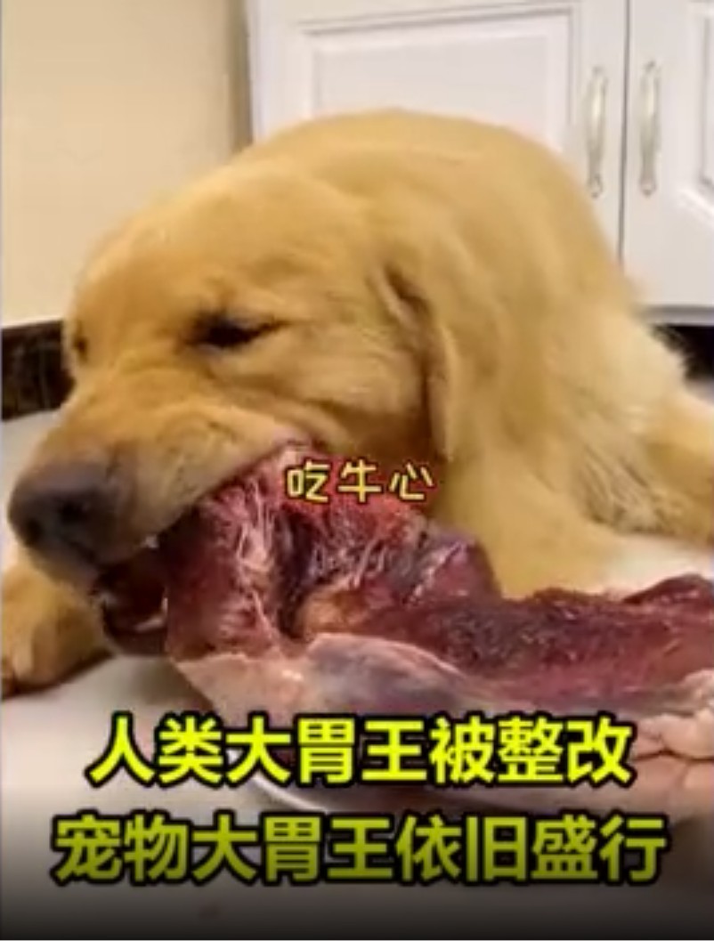 螢幕截圖 2020-09-15 下午5.51.49