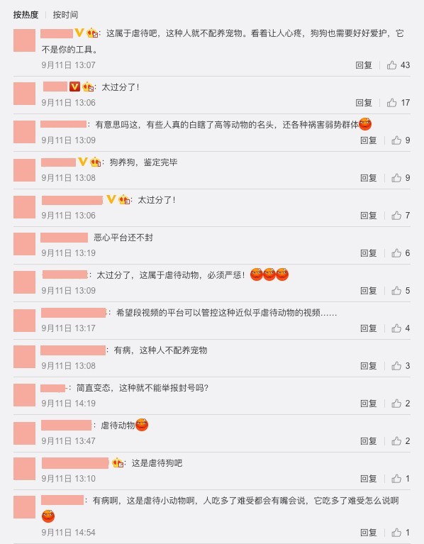 為響應惜食令,內地掀「寵物大胃王」熱潮,強迫寵物進食辣椒雞髀,被狠批喪心病狂!