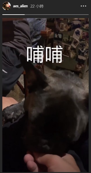 在15日晚間小鬼黃鴻升才於個人IG發佈限時動態,更分享了與自己的愛犬甜蜜的互動,更鍡狗狗吃東西,但影片中未有見到他本人,只見到他的手。