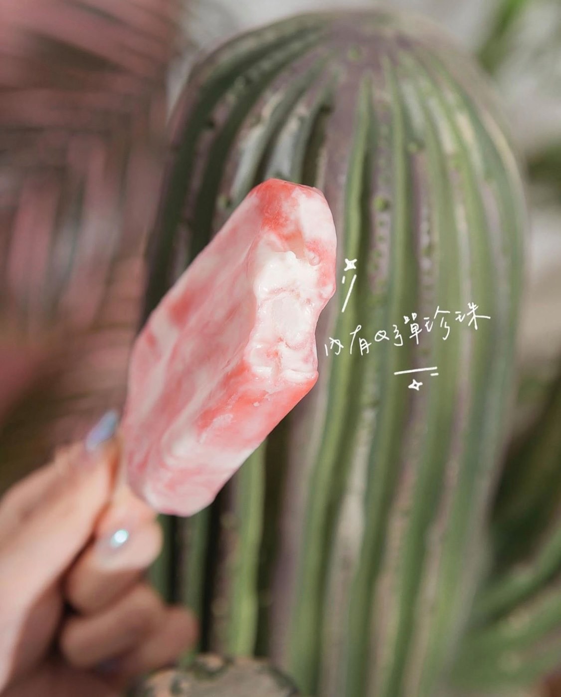 丸作食茶日前就推出了最新產品,並找來台灣女神紀卜心來代言這款超級少女心的粉紅仙人掌漸層珍珠雪條!一推出市面後,專賣的店(全聯)就已經一一清貨,台灣網民紛紛稱超難買到~