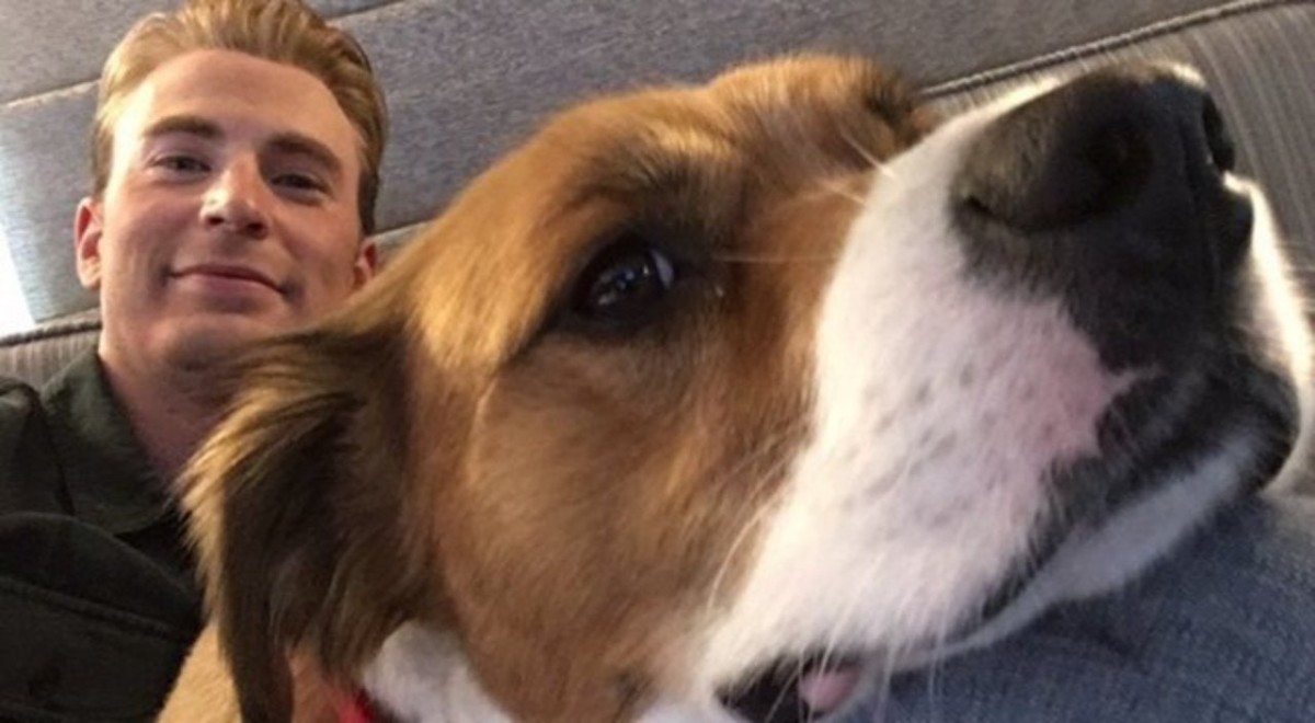 Chris Evans, Chris Evans裸照, Chris Evans回應, Chris Evans Twitter