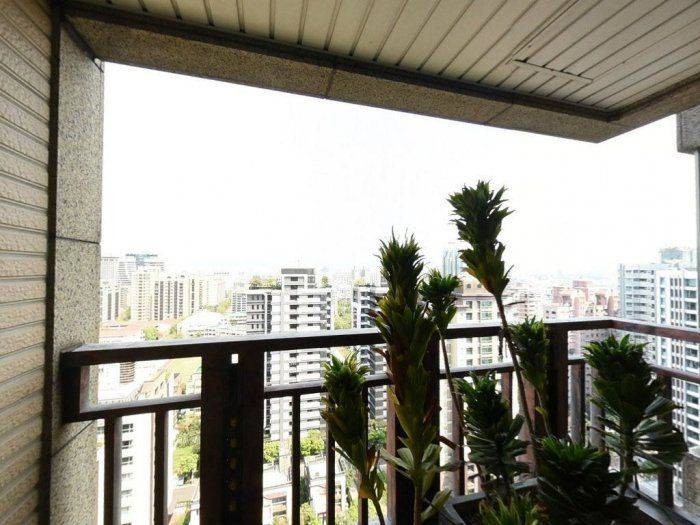 極大露台能眺望台北市景色