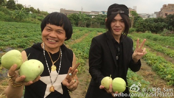 【八両金兒子】後來葉小霆長大後，也不再留冬菇頭，反而走出了自己的風格來，多來留下不少前衛的髮型，有時的變化還有點驚人，所以多少來其髮型亦受到不少網民的揶揄。