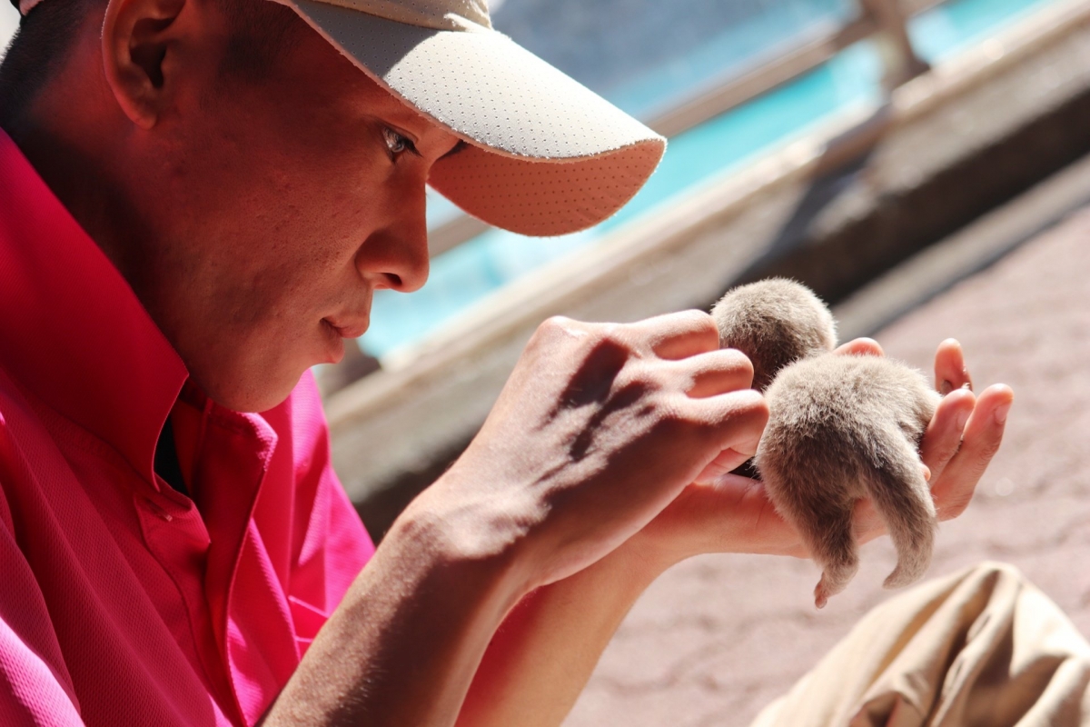 桂浜水族館水獺BB23日本不少網民也因為小編的文字生動有趣而關注他們的專頁,他們除了會在專頁上發佈萌萌的動物照外,還會加上假想的可愛情境對白!