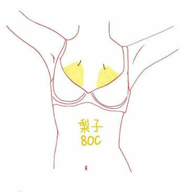 日本Twitter瘋傳「水果胸圖鑑」熱議!以水果比喻A到F罩杯