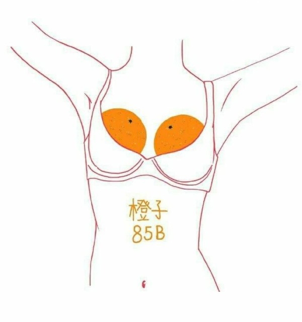日本Twitter瘋傳「水果胸圖鑑」熱議!以水果比喻A到F罩杯