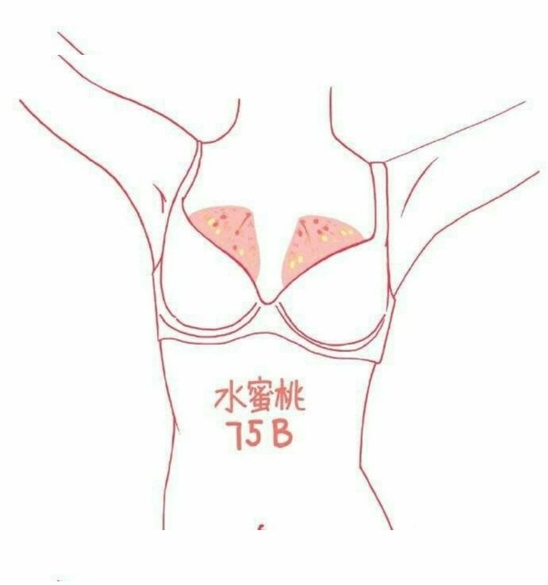 日本Twitter瘋傳「水果胸圖鑑」熱議!以水果比喻A到F罩杯