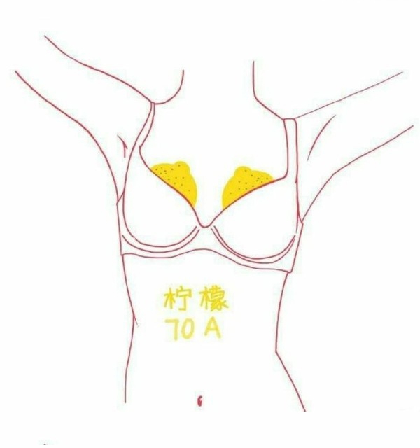 日本Twitter瘋傳「水果胸圖鑑」熱議!以水果比喻A到F罩杯
