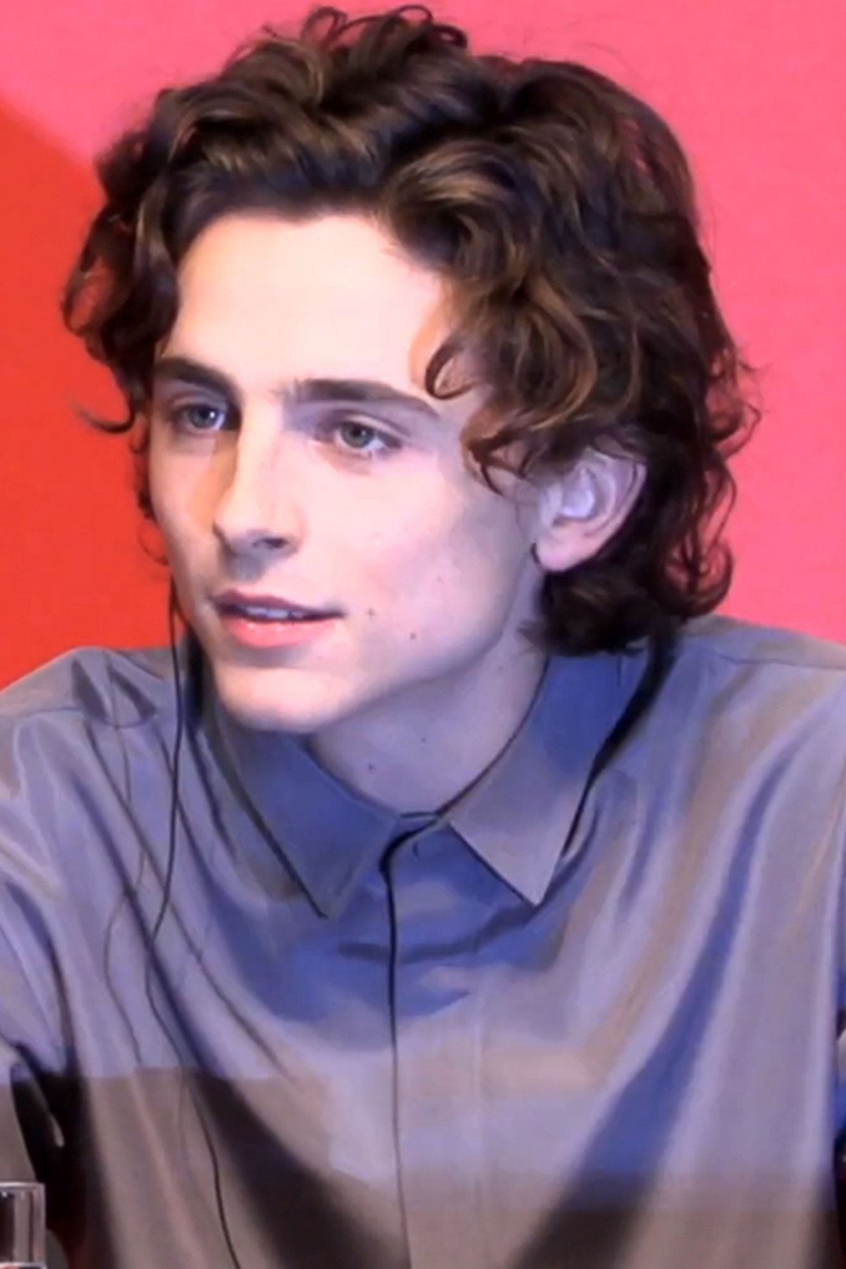 現年24歲,憑藉《以你的名字呼喚我》(Call Me By Your Name)而瞬速走紅的Timothée Chalamet