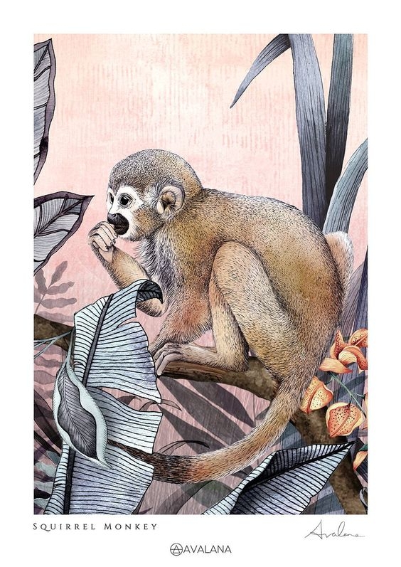 【心理測驗】猴子代表「朋友丶友情」。如果你最先放棄猴子,代表你經常都會忽略掉友誼,在你眼中,當你認為目前有更重要的事情要處理或是有更需要要守護的事情,如家人、愛人等