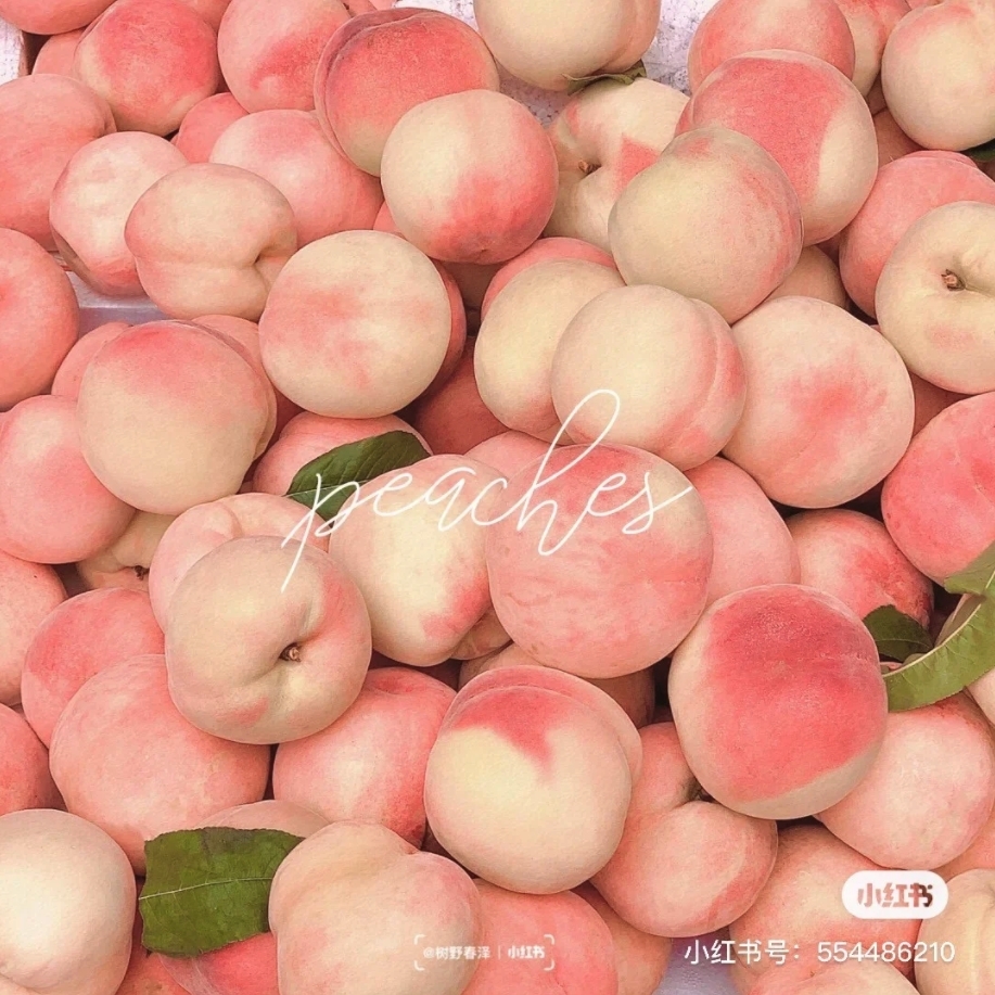 螢幕快照 2020-11-09 下午6.21.17