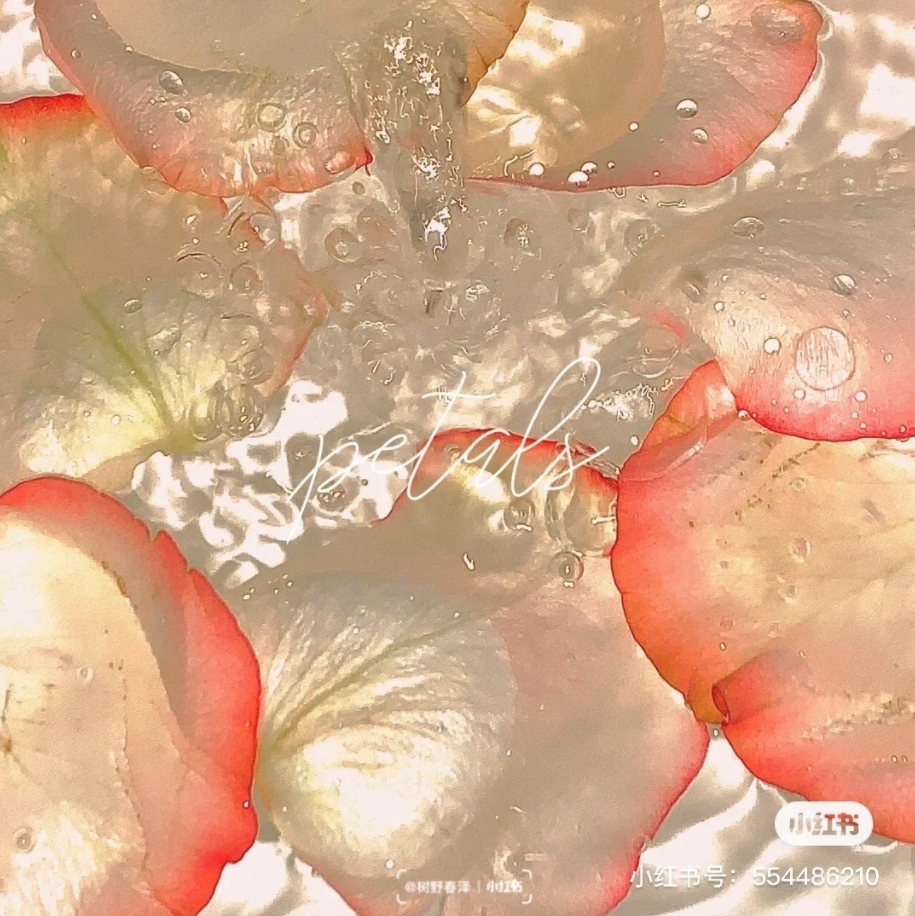 螢幕快照 2020-11-09 下午6.21.24