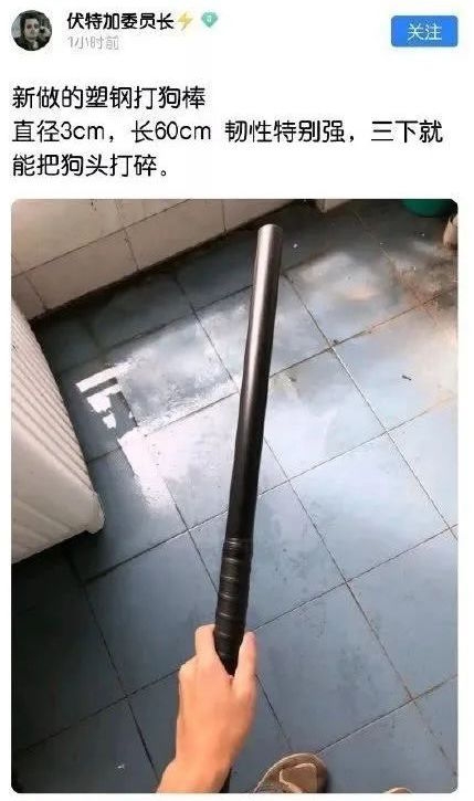 他們查出背後竟隱藏著一個專門虐貓的組織。他們更發現該群組的加入條件就是必須提供有本人出鏡的虐貓短片,且要定期更新。