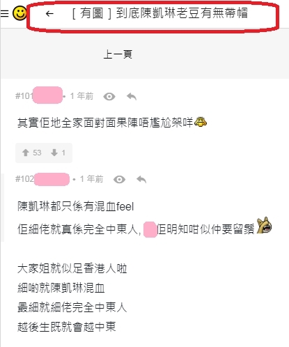 【陳凱琳細佬】大部分網民都認為陳凱琳與細佬的親生父母根本不可能兩人都是正宗的中國人樣。