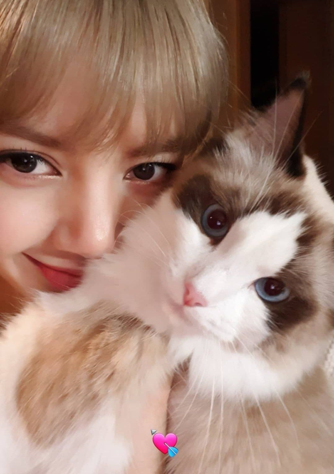 BLACKPINK成員帶妝抱熊貓惹中國人不滿