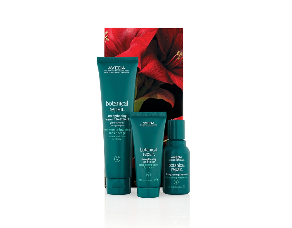 Aveda 三重修復草本強韌套裝