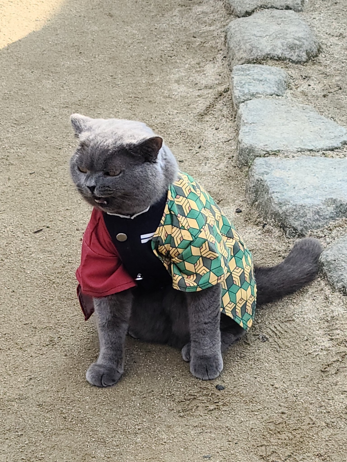 不少人更甚至把自己與寵物 cosplay 成鬼滅角色到竈門神社朝聖,