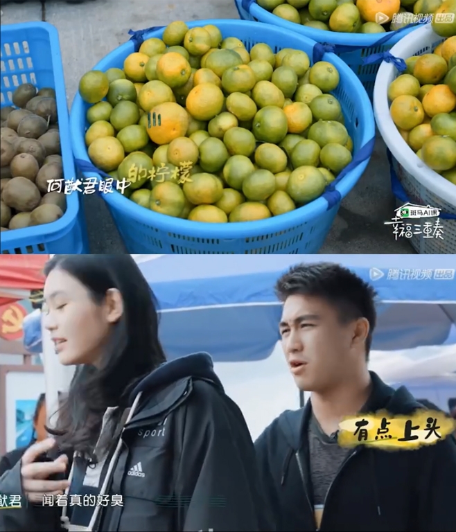 何猷君真的是不食人間煙火的富貴公子哥,