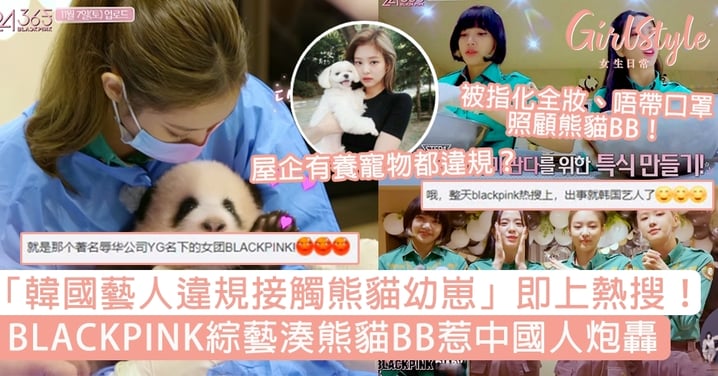 BLACKPINK綜藝湊熊貓BB惹內地網民炮轟：「就是著名辱華公司YG的女團！」