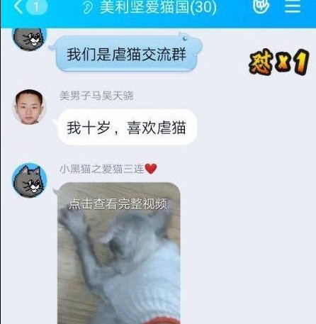 據施虐者稱還可以客製化虐待的短片。無論是動物的品種或年齡、施虐方式或長度也會列明在標題上,還附上標價供人選擇。出售私人訂製短片,月入可達4萬元。中國網民更稱早前可在網路上用35元人民幣買到70 Gb的虐貓影片。在群組裏更有一位自稱10歲的小孩指:「我十歲,喜歡虐貓」。