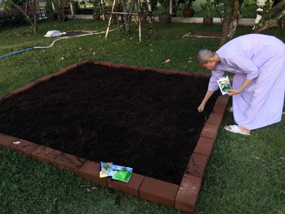相信這組照片流出後,泰國民眾對泰王生活糜爛的不滿只會日益高漲,示威的熱潮可能仍然會持續好一段時間。