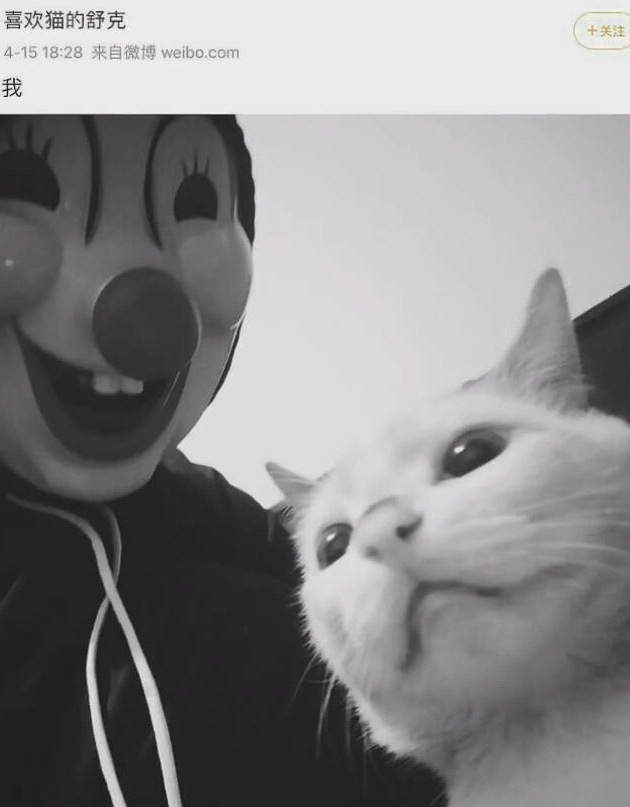 其實在2014年就已經有一位中國記者發現有人在馬路上拍攝用車輾過貓的影片,數年來也有不少活生生烹調狗隻的影片流出。其中以「舒克」最多人認識,因為行動詭祕,即使帳戶被多次舉報,仍不斷繼續施虐。