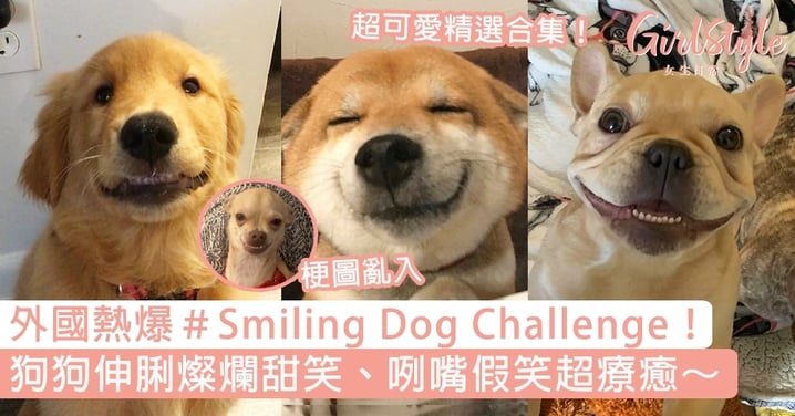 外國熱爆＃Smiling Dog Challenge！狗狗伸脷燦爛甜笑、咧嘴假笑超療癒～
