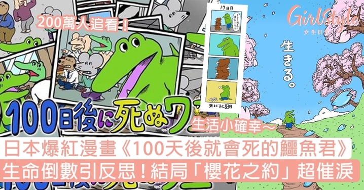 日本爆紅漫畫《100天後就會死的鱷魚君》！生命倒數引反思，結局櫻花之約超催淚！