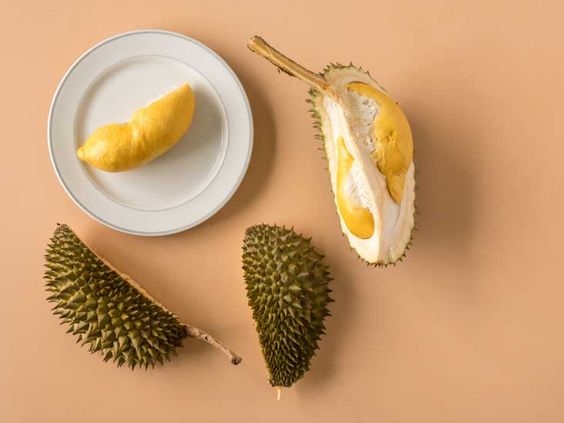 081b43c7328eb590c813d818959766ee