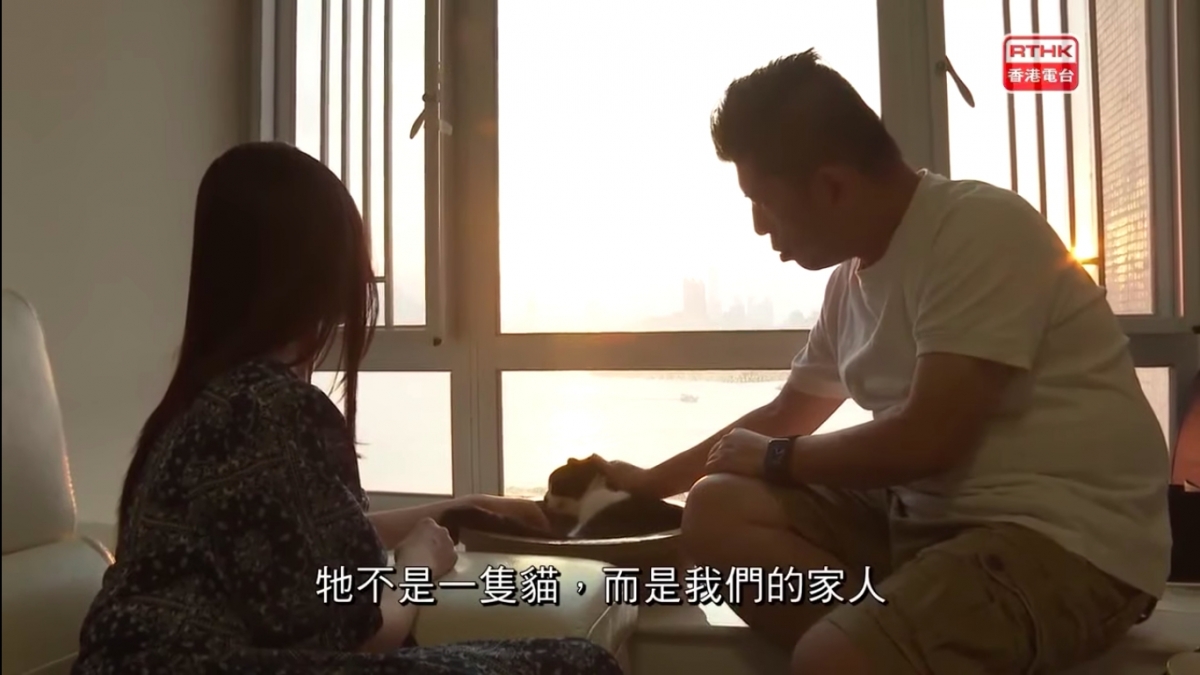 港人一家移民台灣/老公留港照顧病貓終老