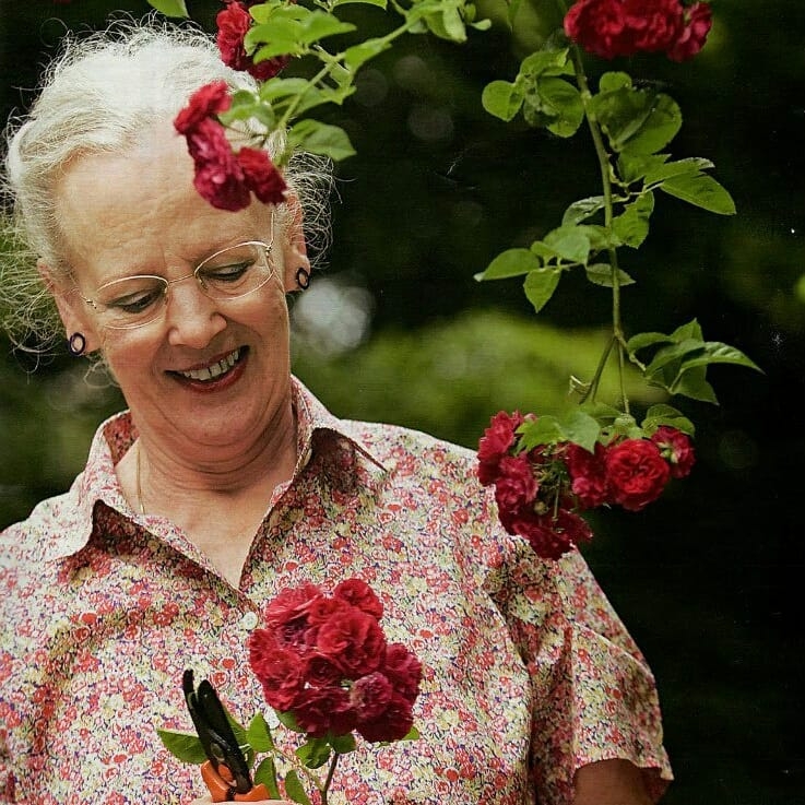 英女王還有一個關係要好的遠房「女王」表妹，以脫序、親民形象視人的瑪格麗特二世（Margrethe II of Denmark）