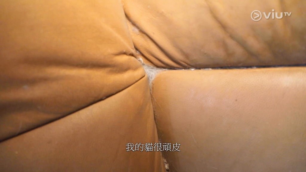執屋最可怕的是,在客廳的位置竟然出現了一張「豎起」擺放的大梳化,畫面十分離奇!