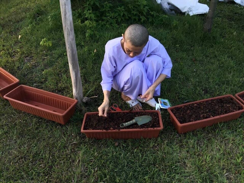 【泰國廢妃】出家西拉米也將復寵/貴妃詩妮娜不雅照流出反獲泰王寵愛