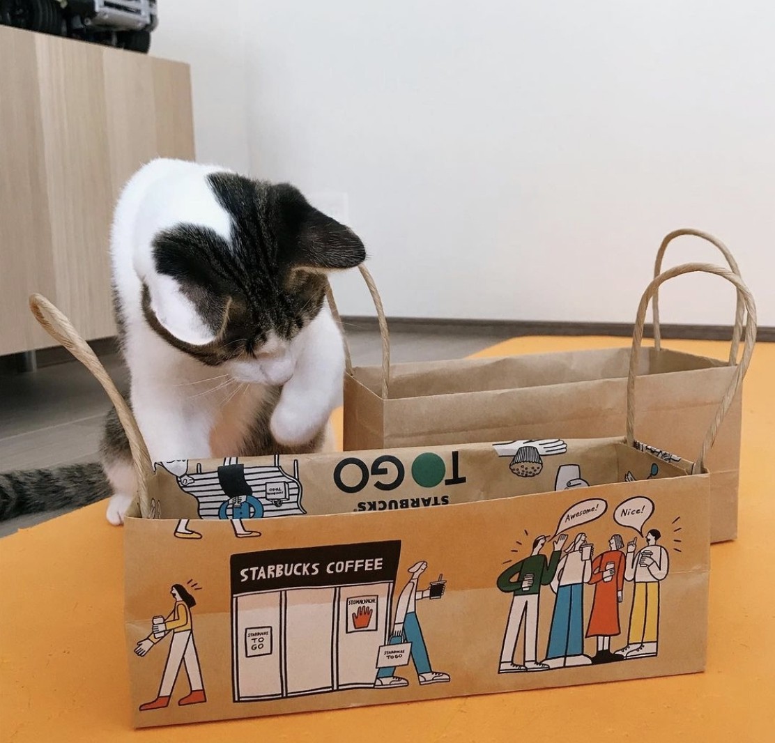 如果希望這個DIY收納盒有把手的話,可以照以上同樣的做法,然後把上半部份對摺,將把手調整好位置後,用膠水黏在下半部分,這樣就多一個功能了!