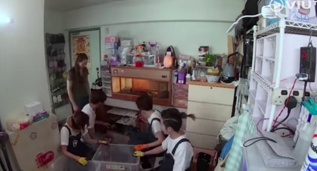 門口還用了不少位置來放養Ray心愛的寵物,包括蜥蝪、龜和蛇等小動物。阿橙指:「唯一解決方法係將不常用物件取走及將它們歸一擺放。」最後,妻子凱儀也開心指自己終於可以把娘家的衣服搬過來擺放!