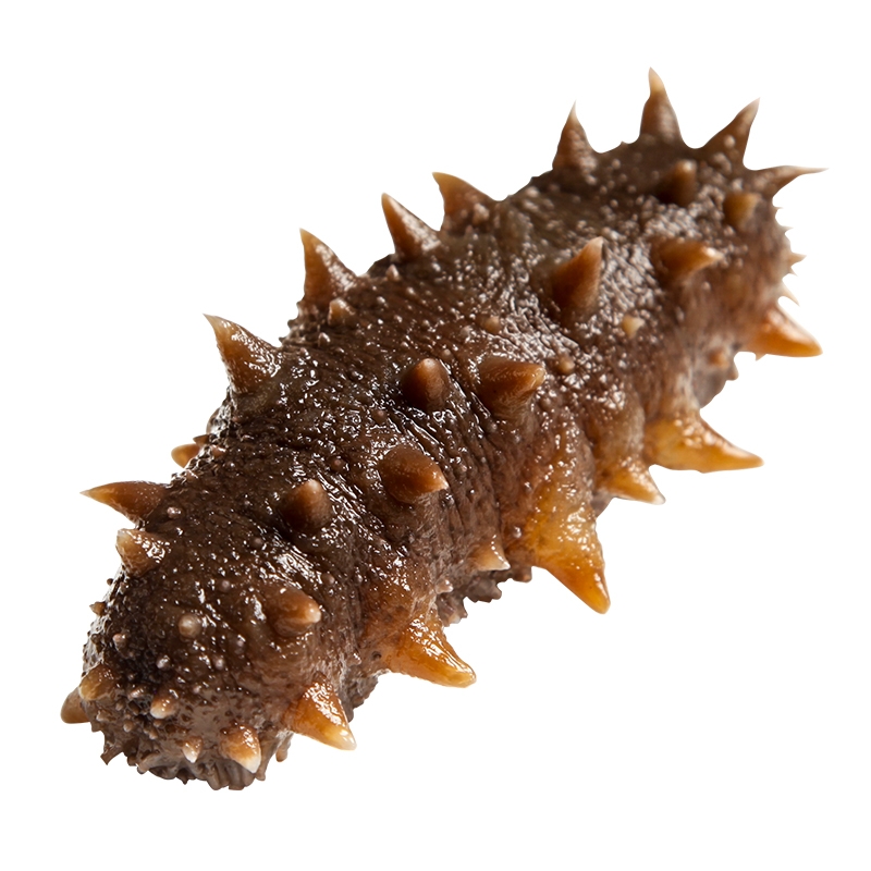 O1CN01DtKO2f1tId37wOwaA_!!2206589745879