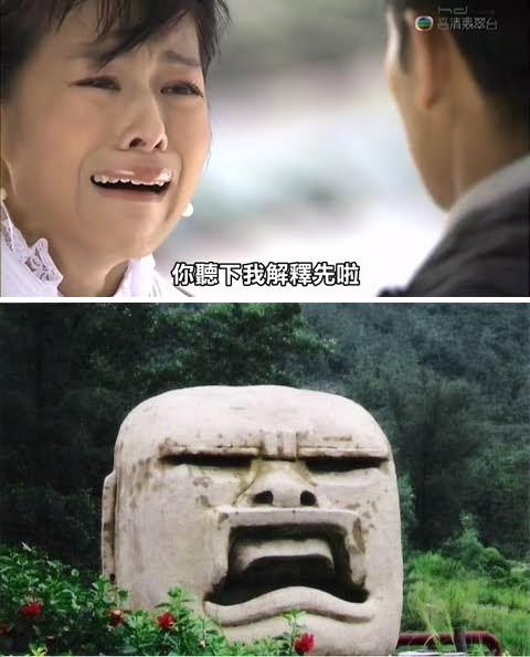 其實胡杏兒在2005年就成為了TVB的女一,當時不少劇集她也有份擔演。在2011年就憑著《怒火街頭》和《萬凰之王》奪得最佳女主角成為視后,在《怒火街頭》中,也因為誇張的哭戲讓表情包一度被瘋傳,指她的苦相超像有囧樣表情的「石神」。