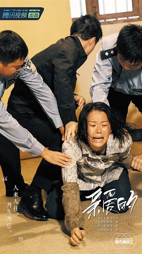 在《演員請就位2》的拍攝當中,她也演出了慘婦的角色,網民指她的演技功力的確有進步,但是她經典的苦相還是十年如一日,尤其八字眉和方形的嘴形最為深入民心,笑言她脫離不到「胡囧囧」一形象。