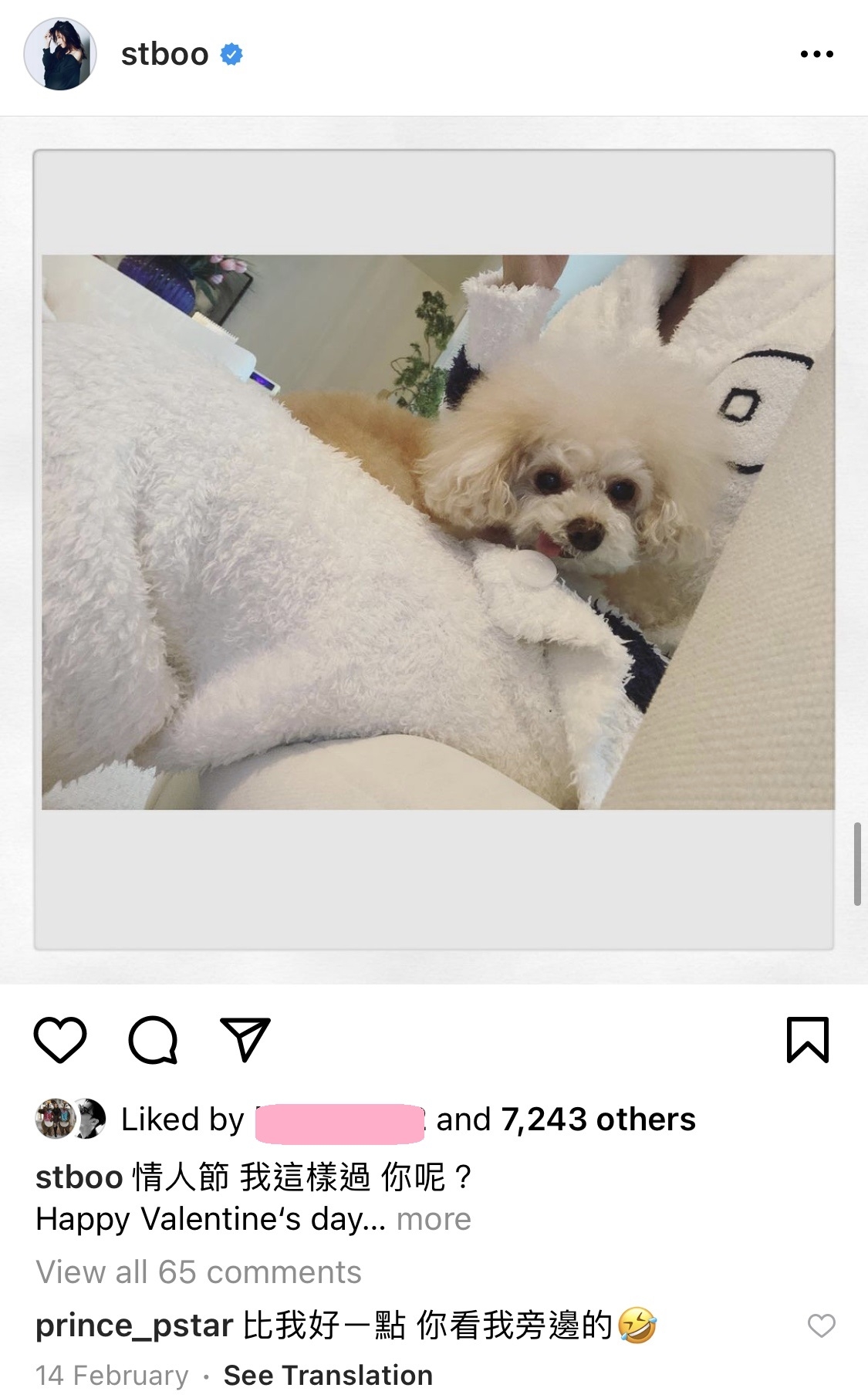 【鄧麗欣Stephy王子】在情人節時因兩人不能見面,Stephy就表示這天自己與狗狗一起度過