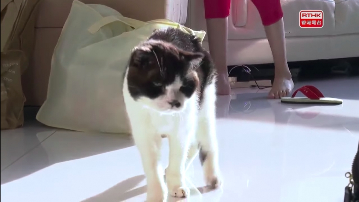 Screen Shot 2020-12-10 at 12.48.17 PM