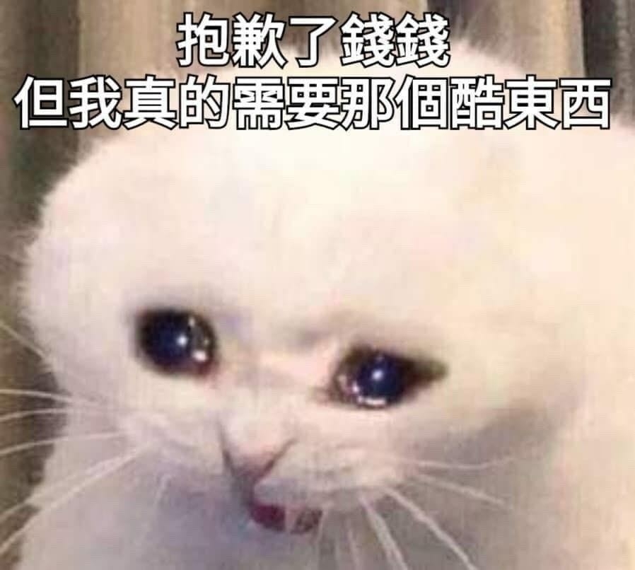 「阿姨,我不想努力了」成功對話擷圖
