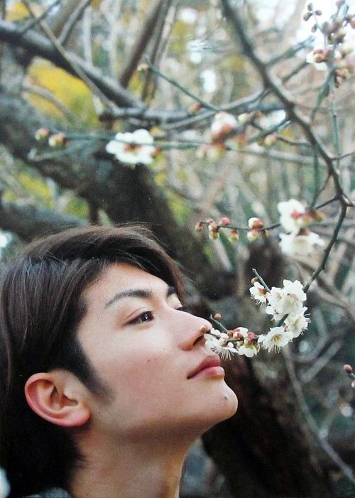 三浦春馬父母爭上億遺產骨灰/離世5個月還未安葬
