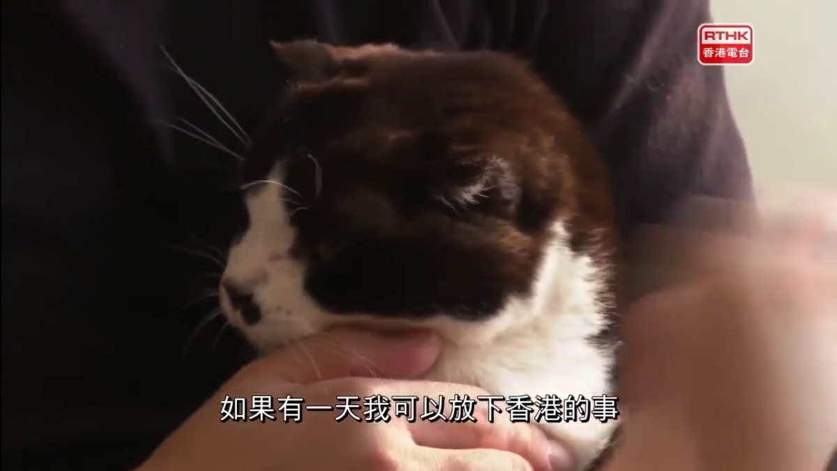 港人一家移民台灣,老公留港照顧病貓終老