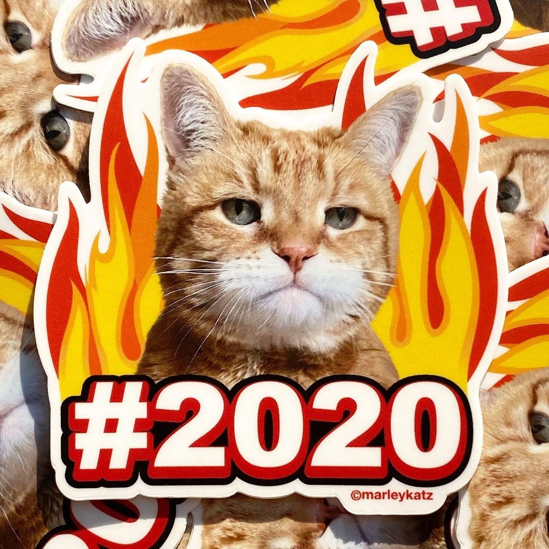 特別是Marley不爽的臭臉配上2020的字眼